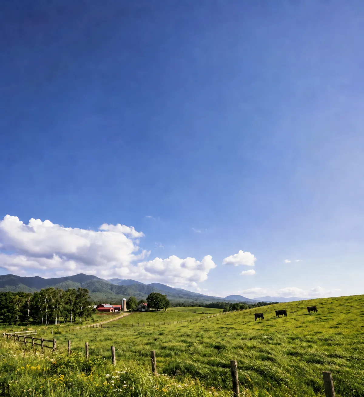 牧場と山並みを望む風景